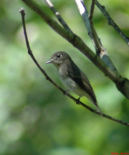 ������������ ���������